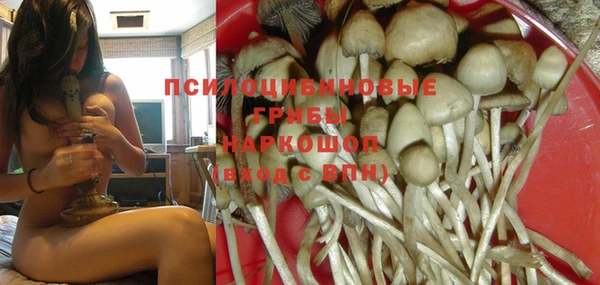 бошки Каменногорск