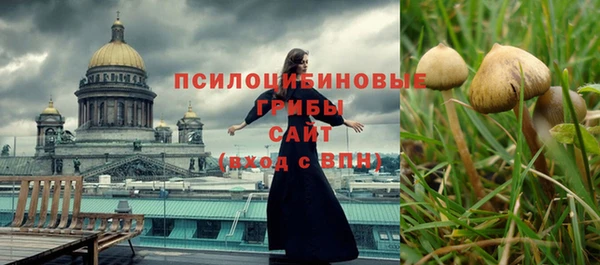 а пвп мука Каменка